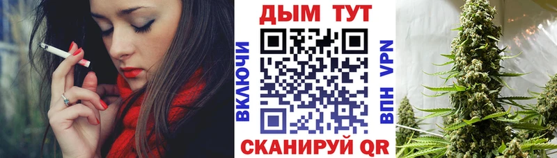 Каннабис OG Kush  закладка  Верея 